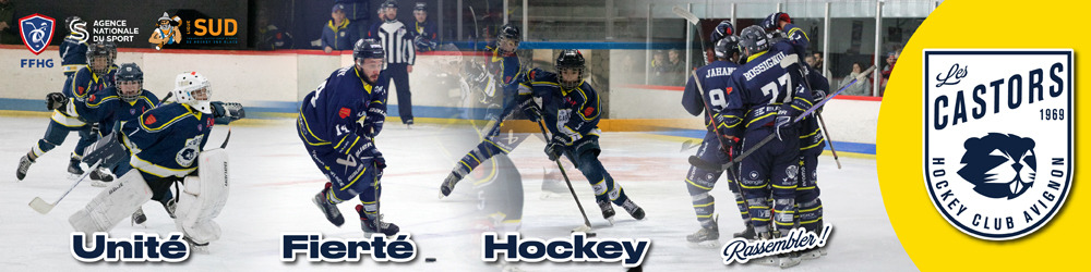 Hockey Club d'Avignon